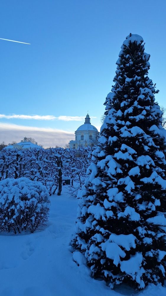 Photograph by Ольга