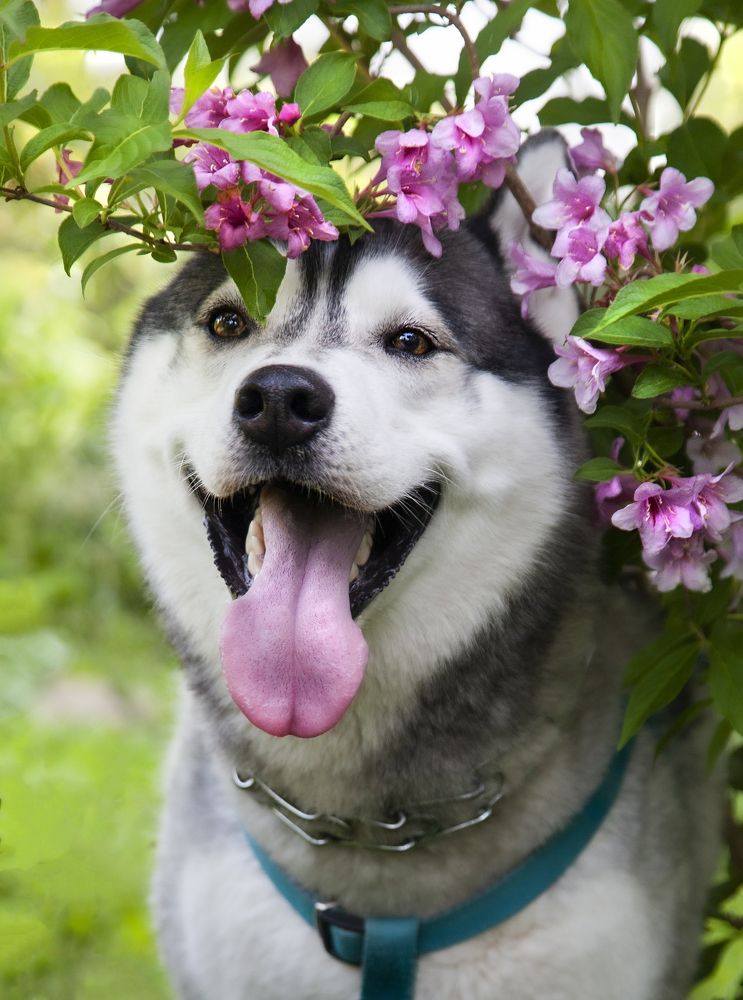 Photograph by Олеся Королева