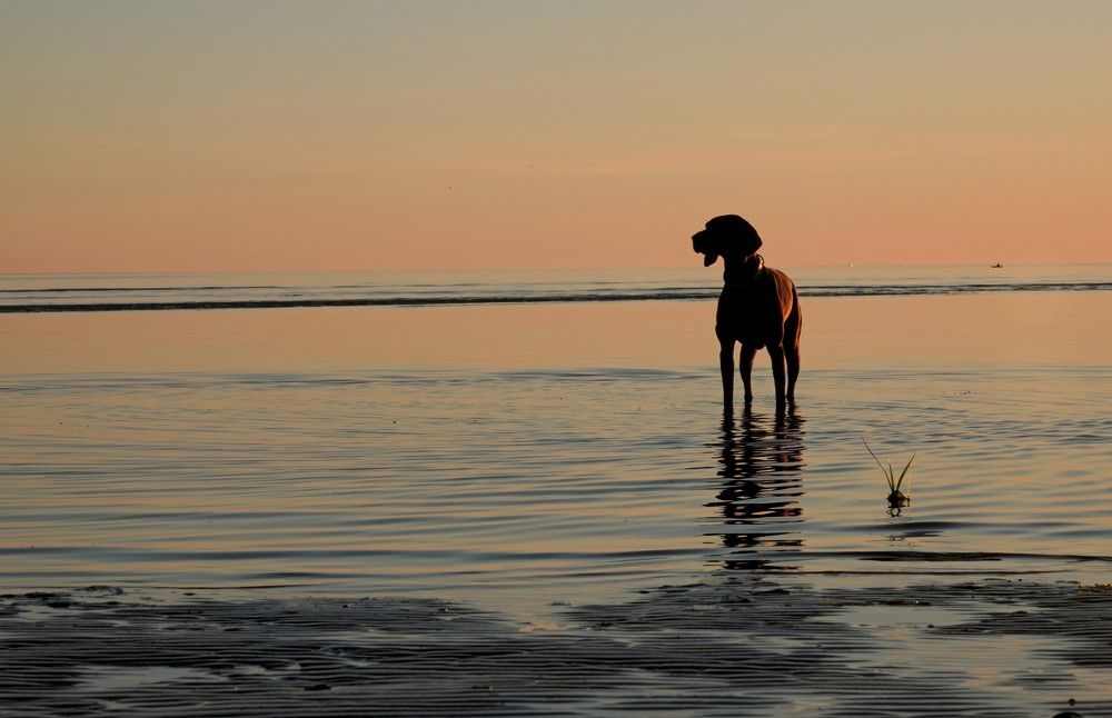 Photograph by Владимир