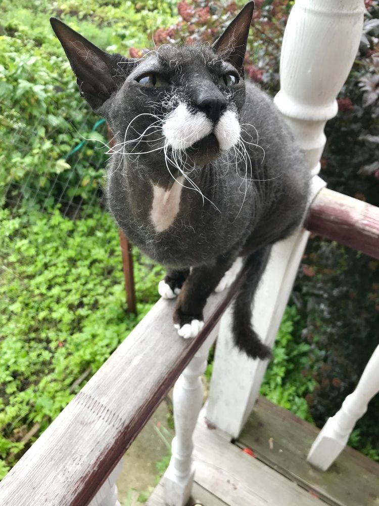 Photograph by Надежда Ткаченко