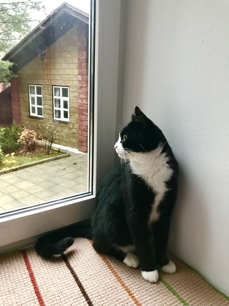 Photograph by Надежда Ткаченко