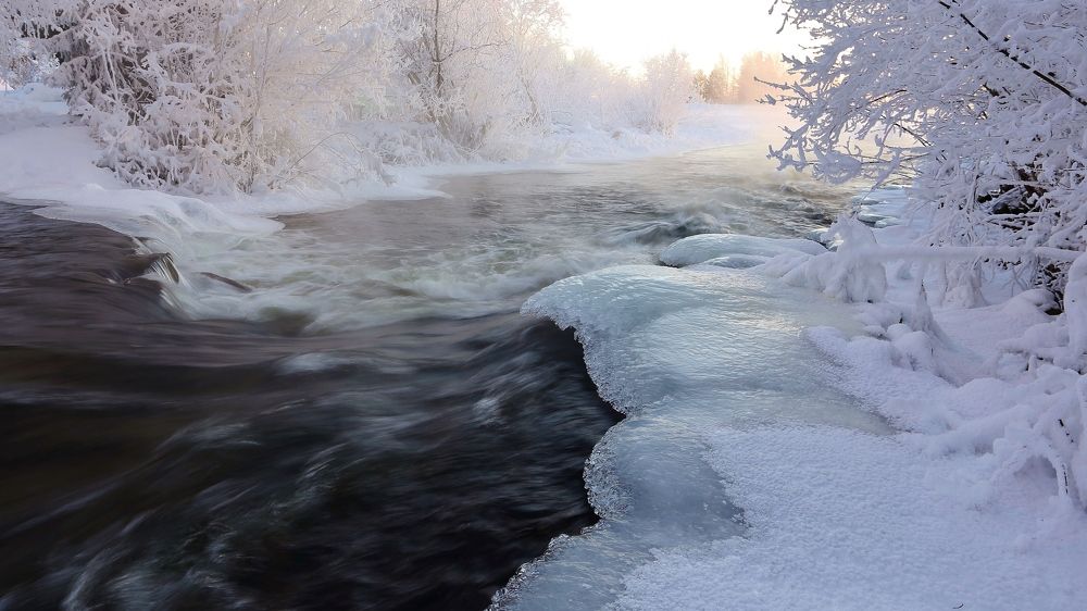 Photograph by Николай Раппу