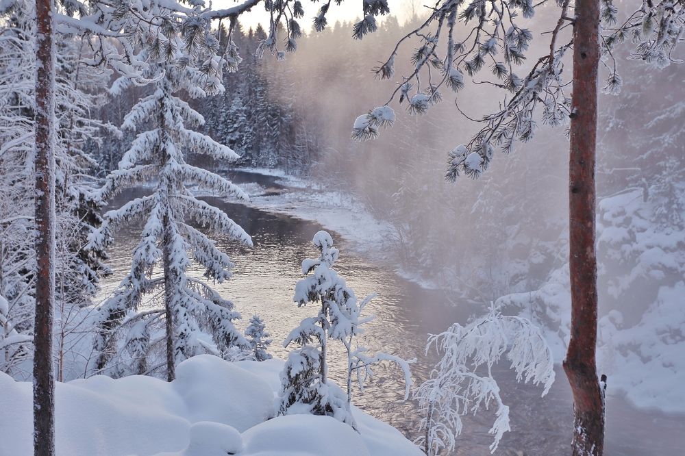 Photograph by Николай Раппу