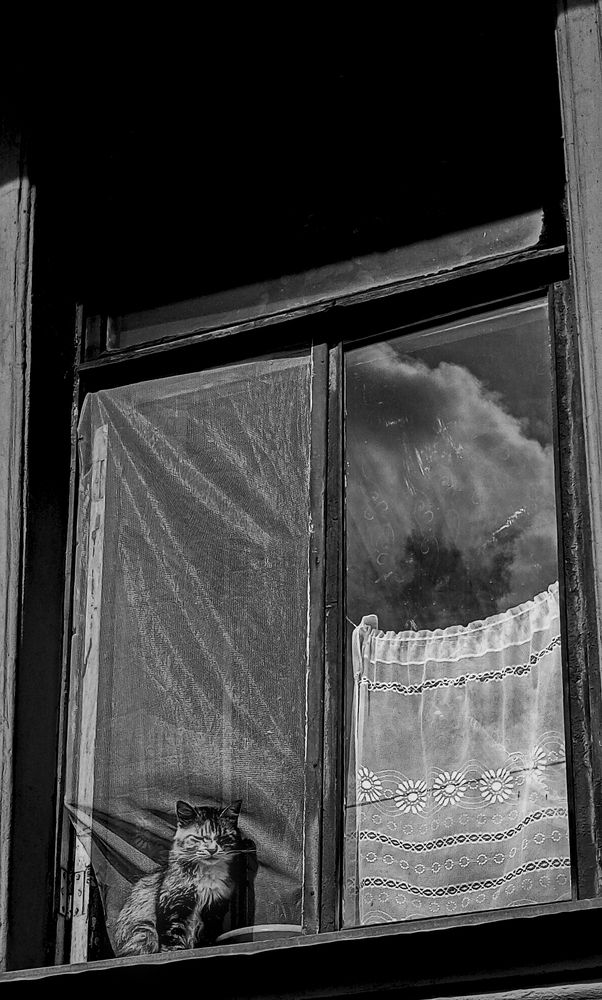 Photograph by Карина Стряпчих