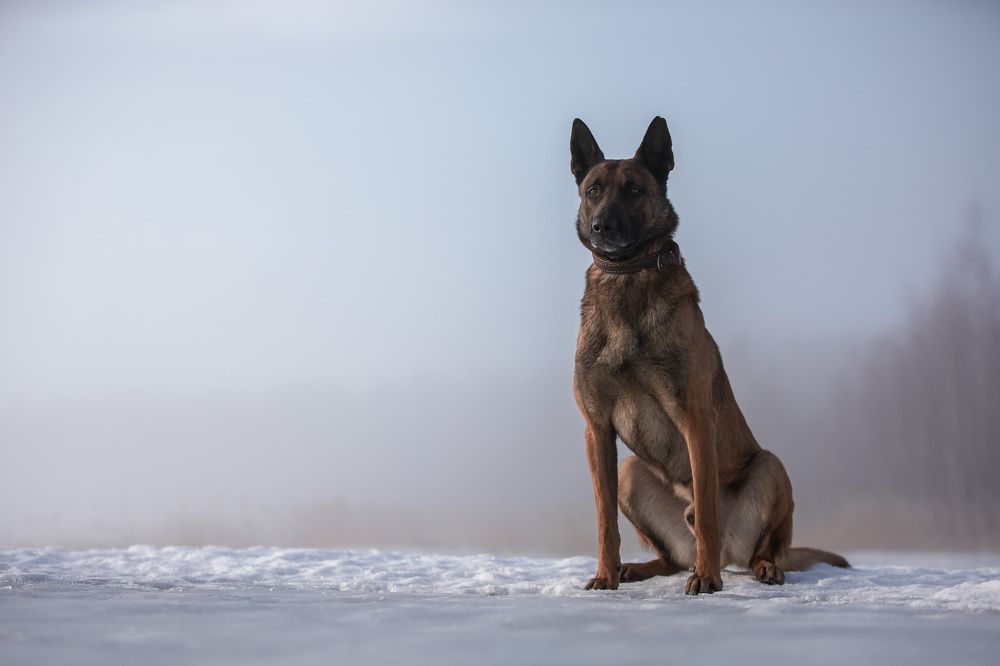 Photograph by Nadezhda