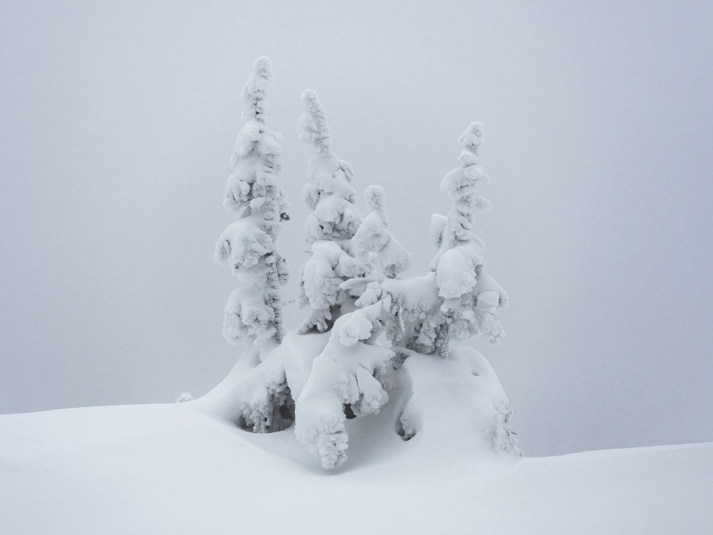 Фотография автора Вячеслав Бобин