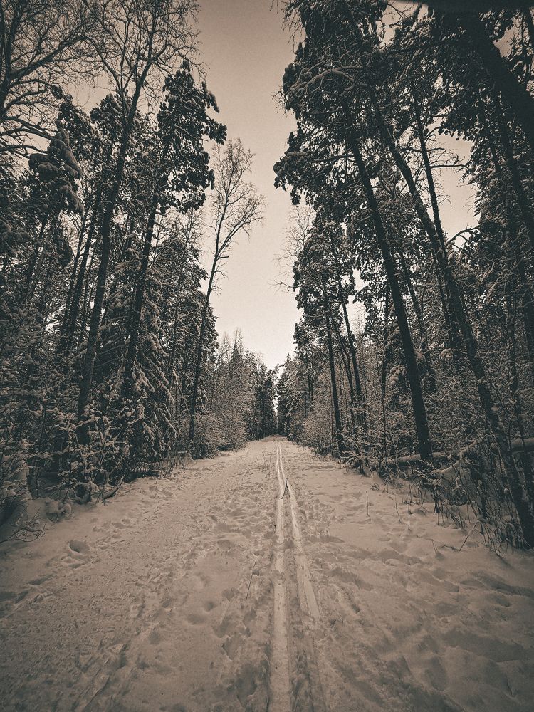 Photograph by Ilyas Kayumov