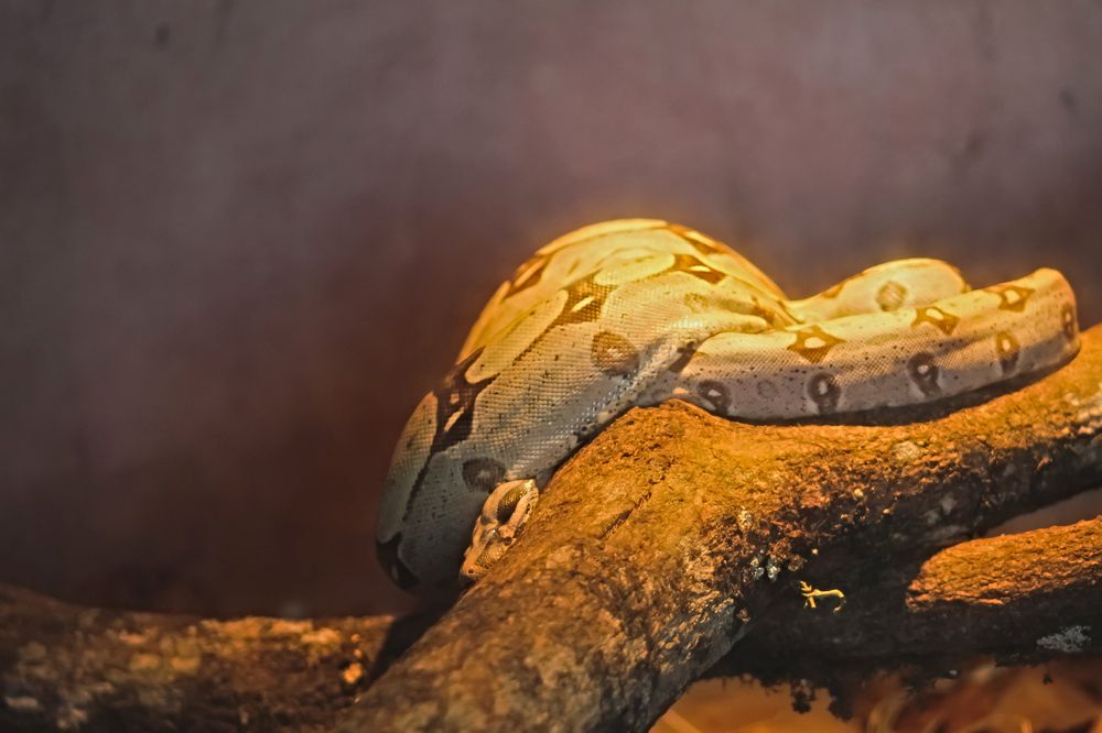 Фотография автора Márcia Cristina Machado