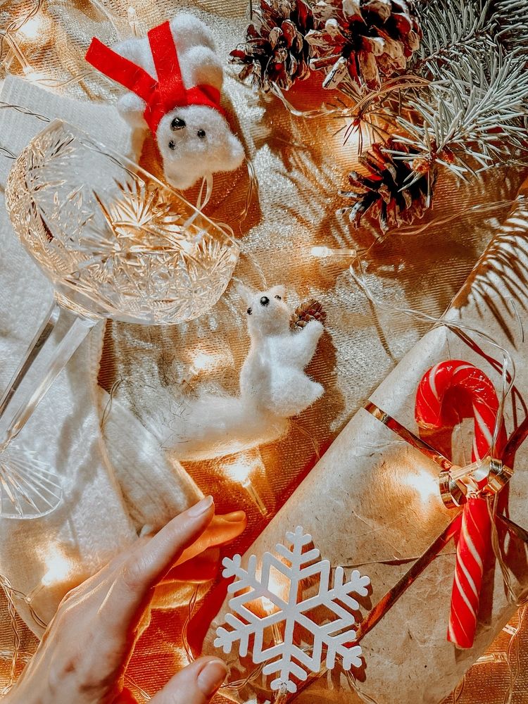 Фотография автора София