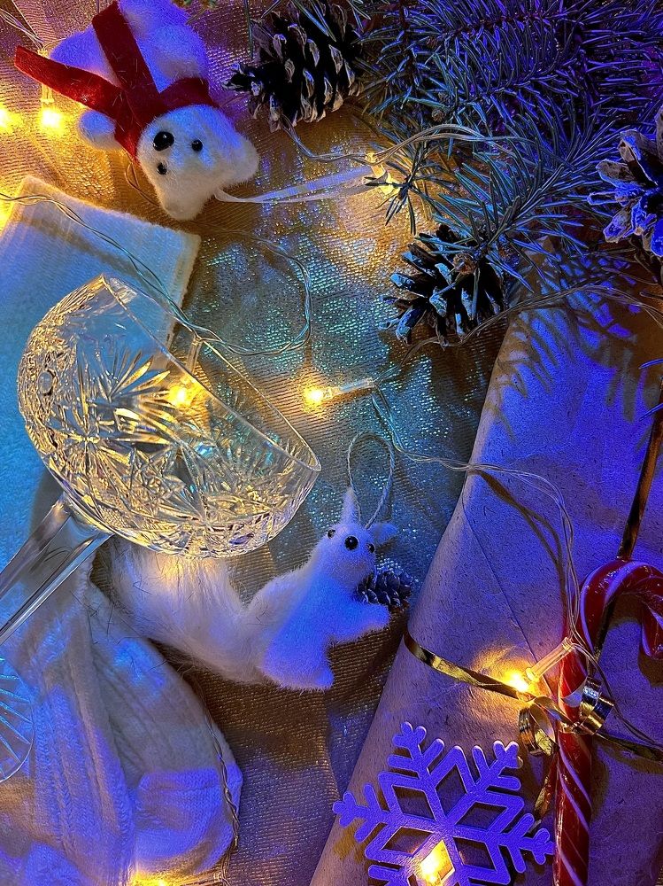 Фотография автора София