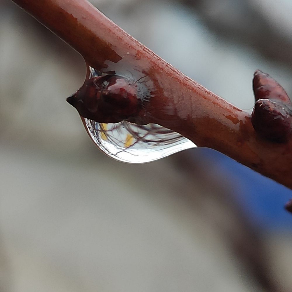 Photograph by Яна Юдэ