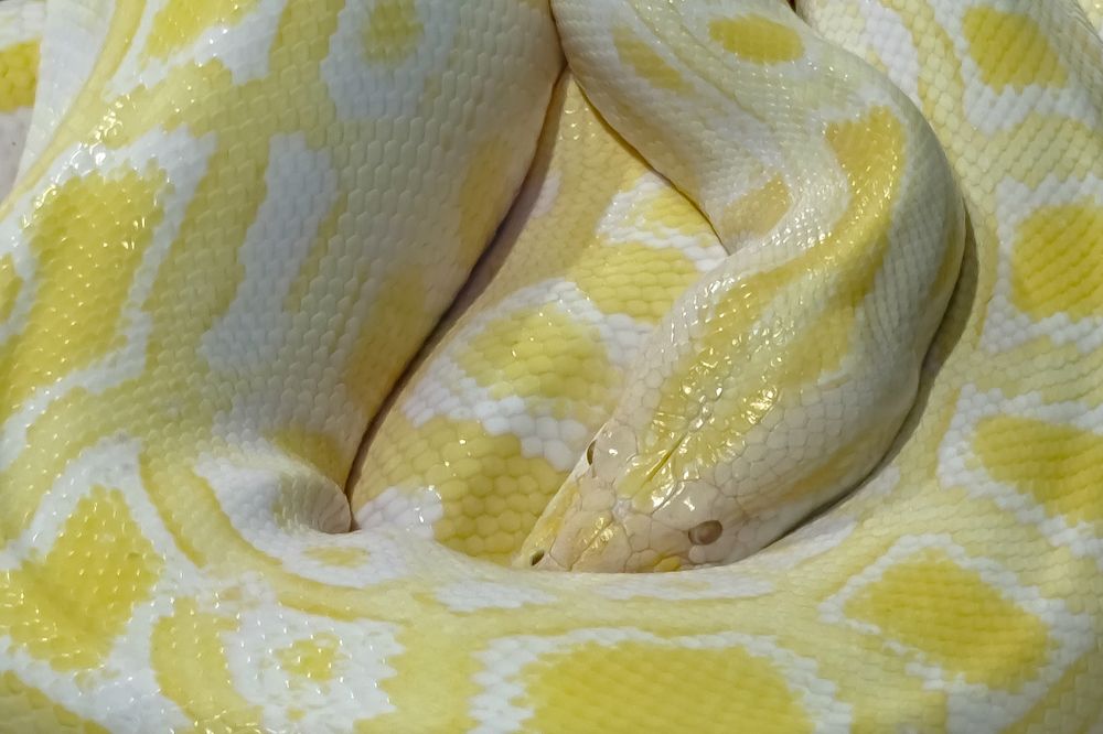 Фотография автора Márcia Cristina Machado