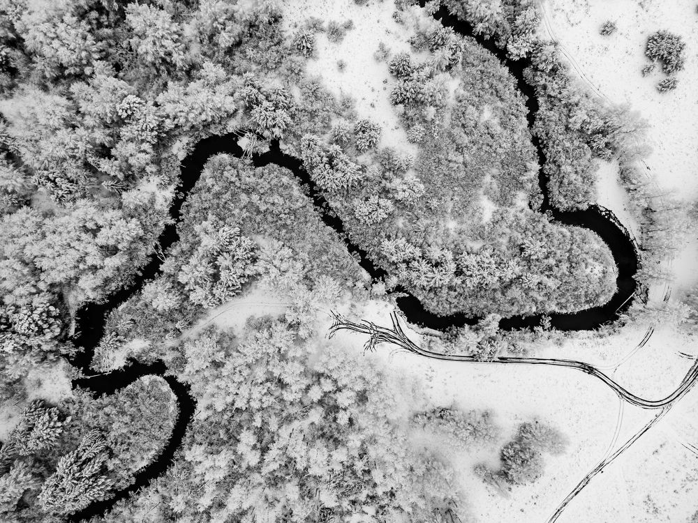 Photograph by Сергей Ларин