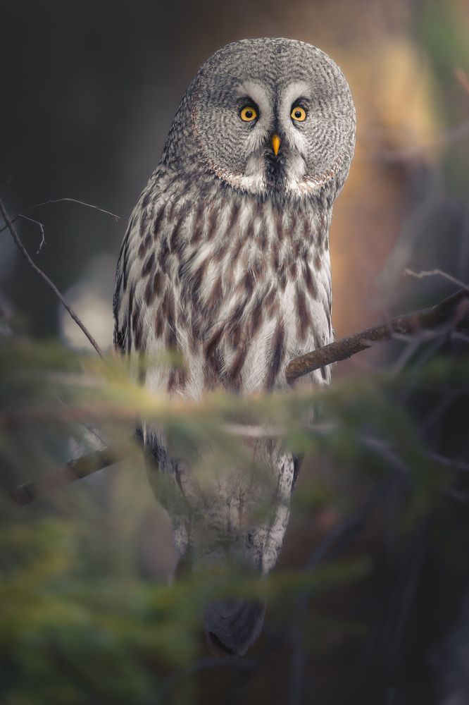 Photograph by Никита Филиппов