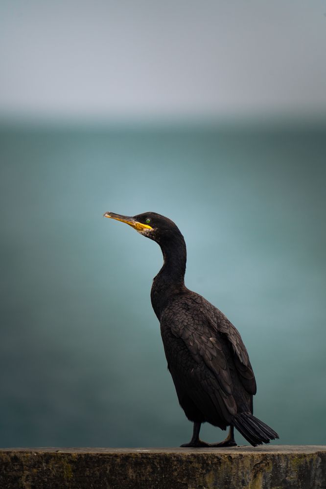 Photograph by Никита Филиппов