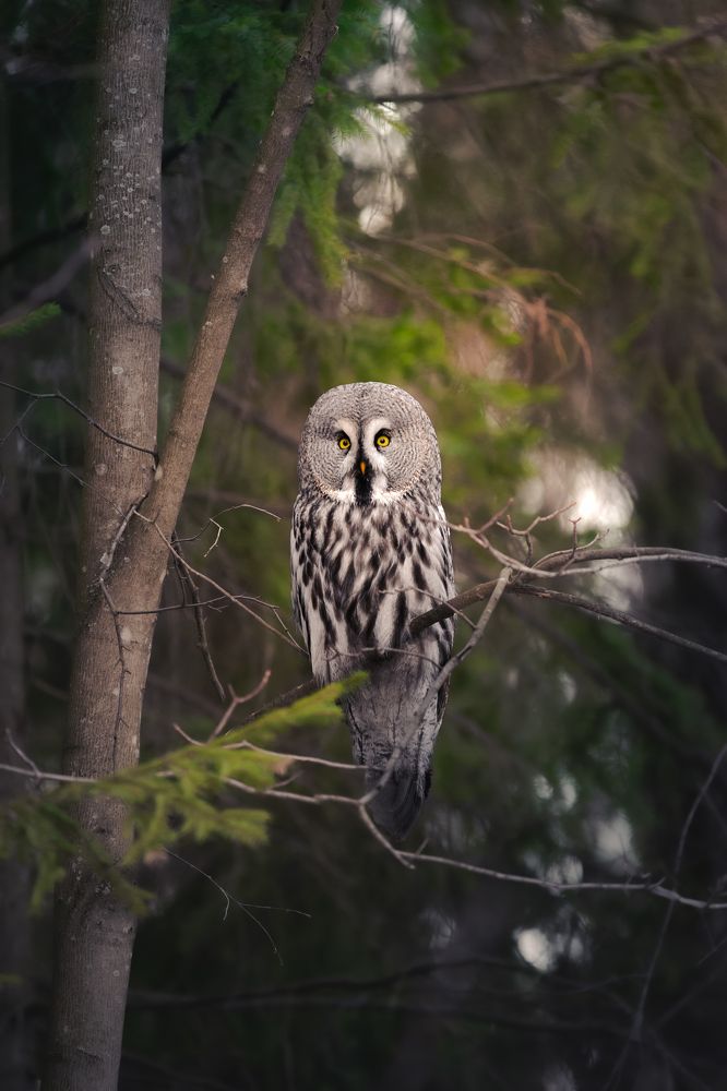 Photograph by Никита Филиппов