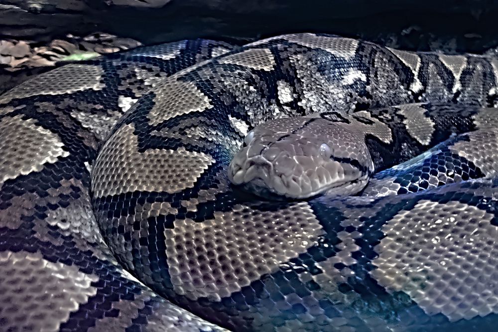 Фотография автора Márcia Cristina Machado