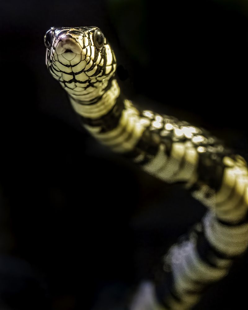 Photograph by Ray Asiala