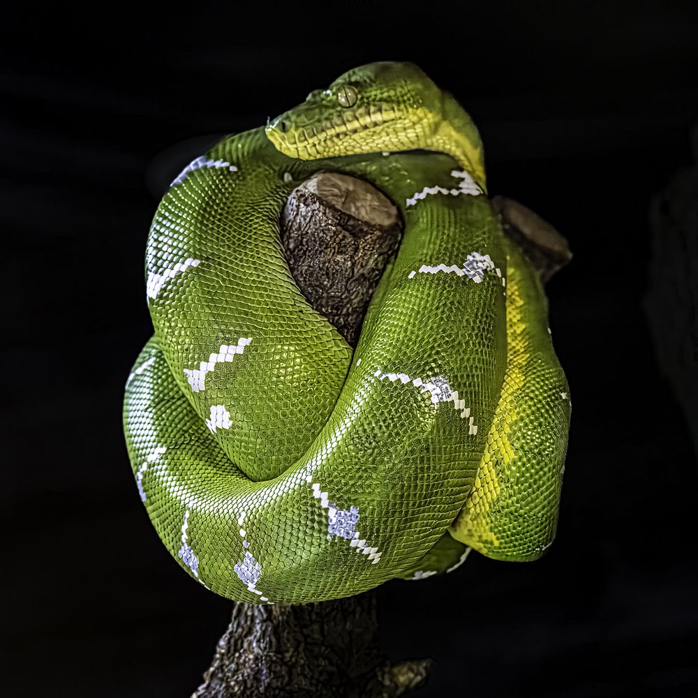 Photograph by Ray Asiala