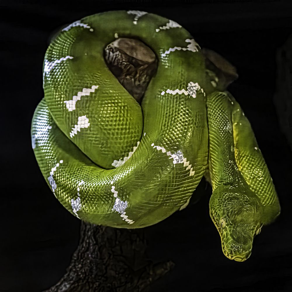 Photograph by Ray Asiala