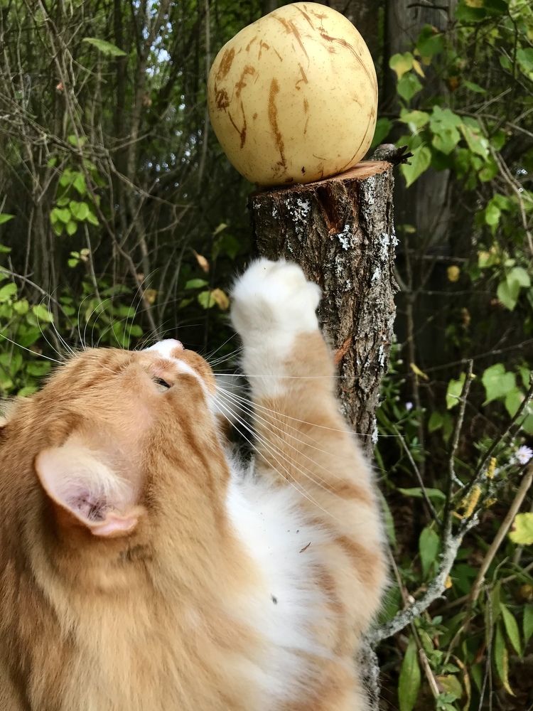 Photograph by Надежда Ткаченко