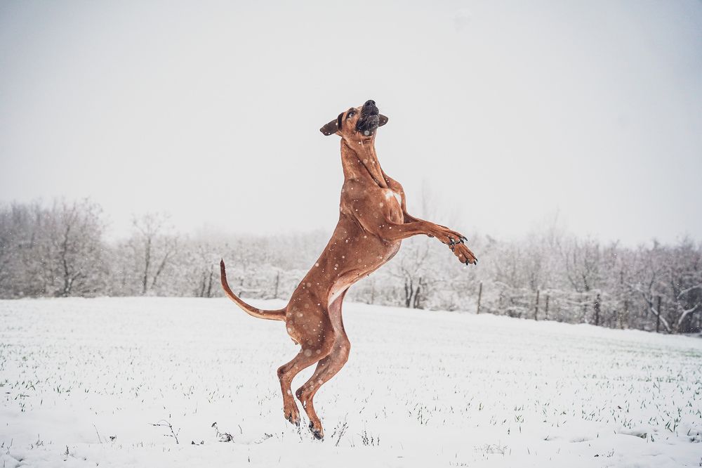 Фотография автора Viktória Bertha