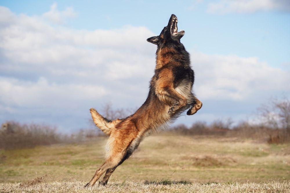 Фотография автора Viktória Bertha