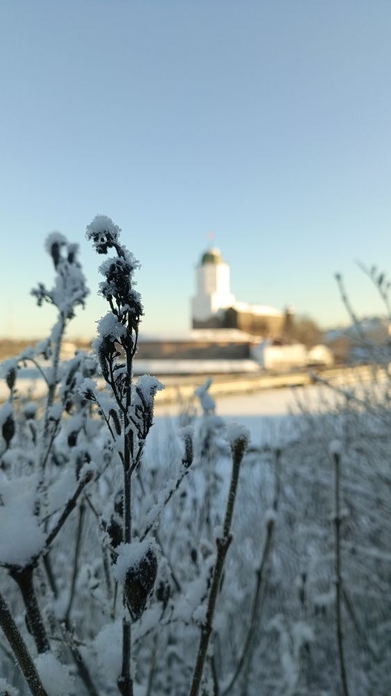 Photograph by Николай Наумов