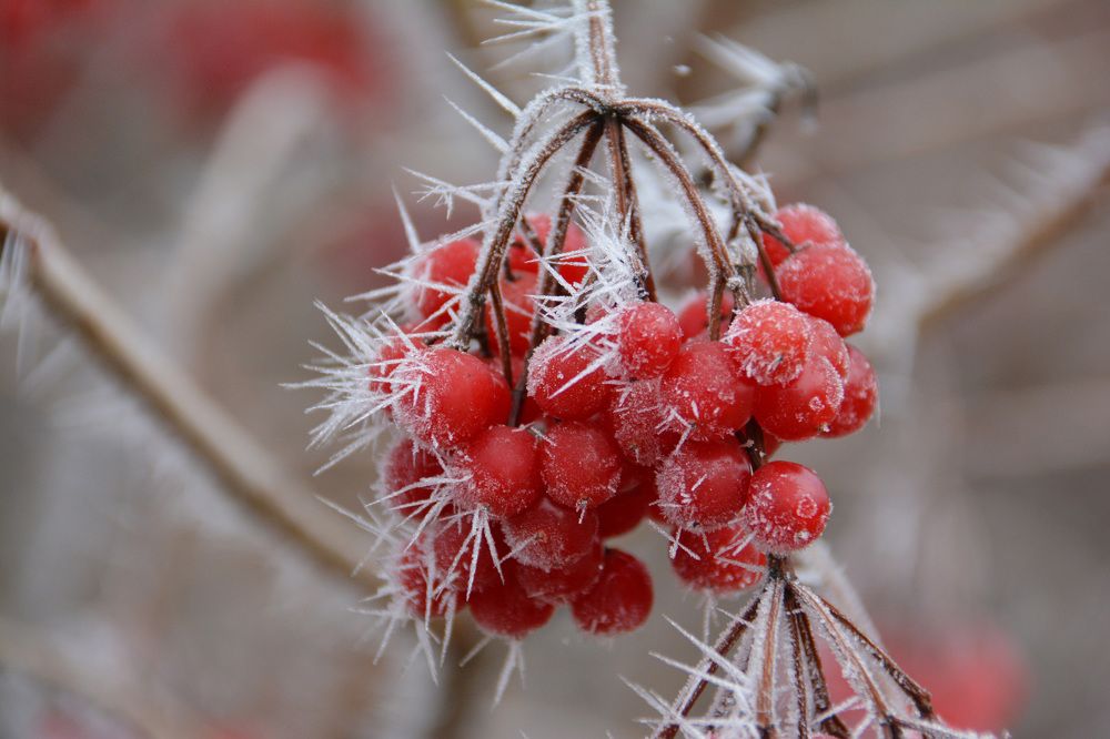 Фотография автора Mila Oreshkina