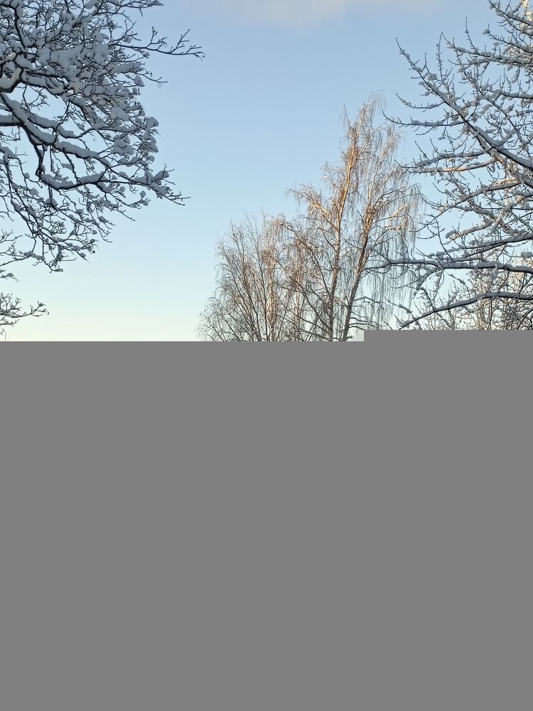 Photograph by Николай Наумов