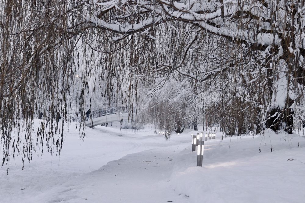 Photograph by Ольга Барулина