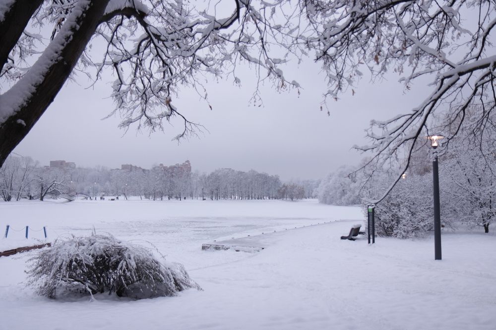 Photograph by Ольга Барулина