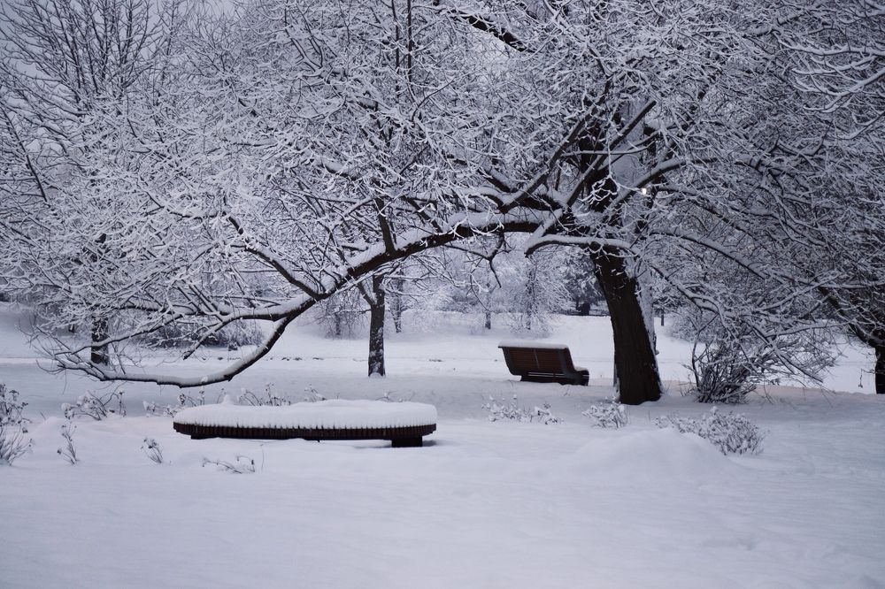 Photograph by Ольга Барулина