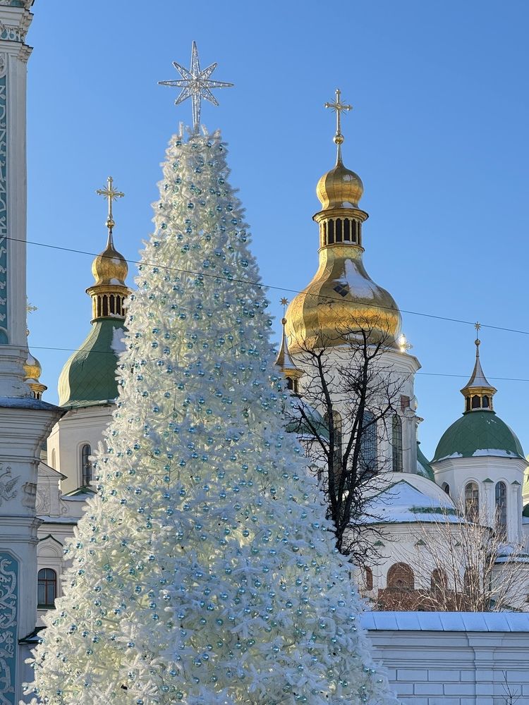 Photograph by Yuliana Zhyriakova