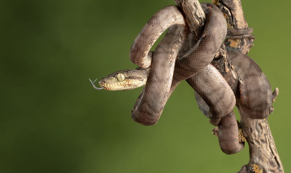 Photograph by MARIA KULA