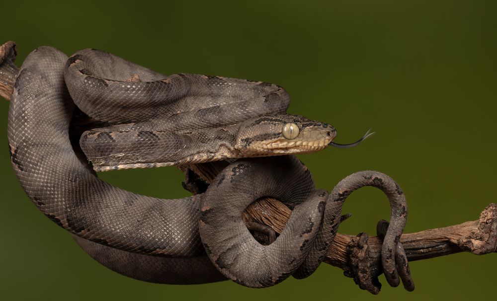 Photograph by MARIA KULA