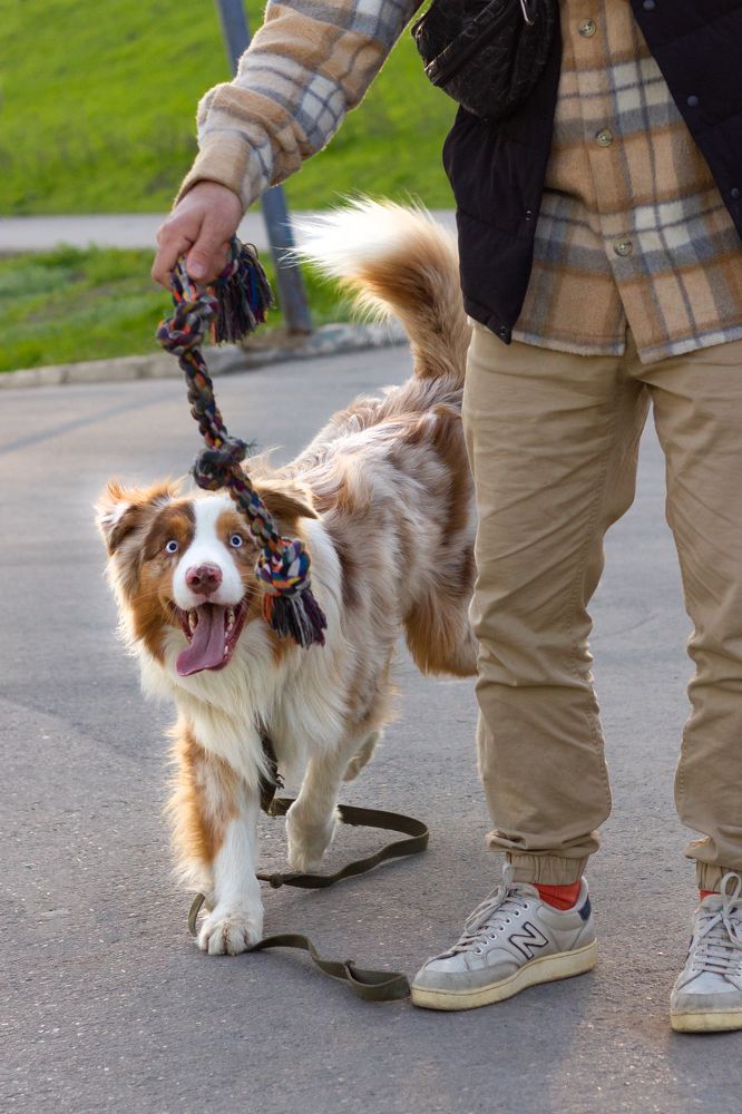 Photograph by Диана Докучаева