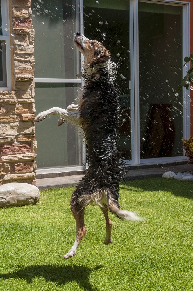 Photograph by gustavo gatto