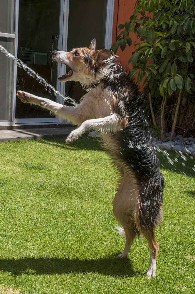 Photograph by gustavo gatto