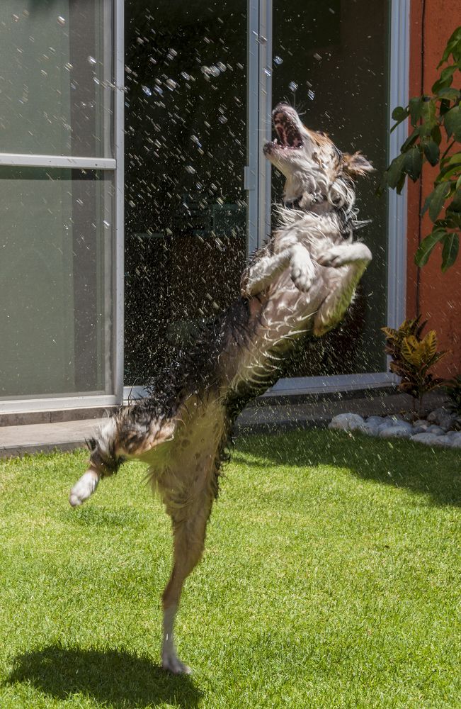 Photograph by gustavo gatto