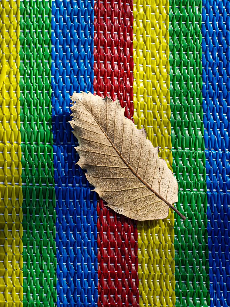 Фотография автора Mohammad hosein