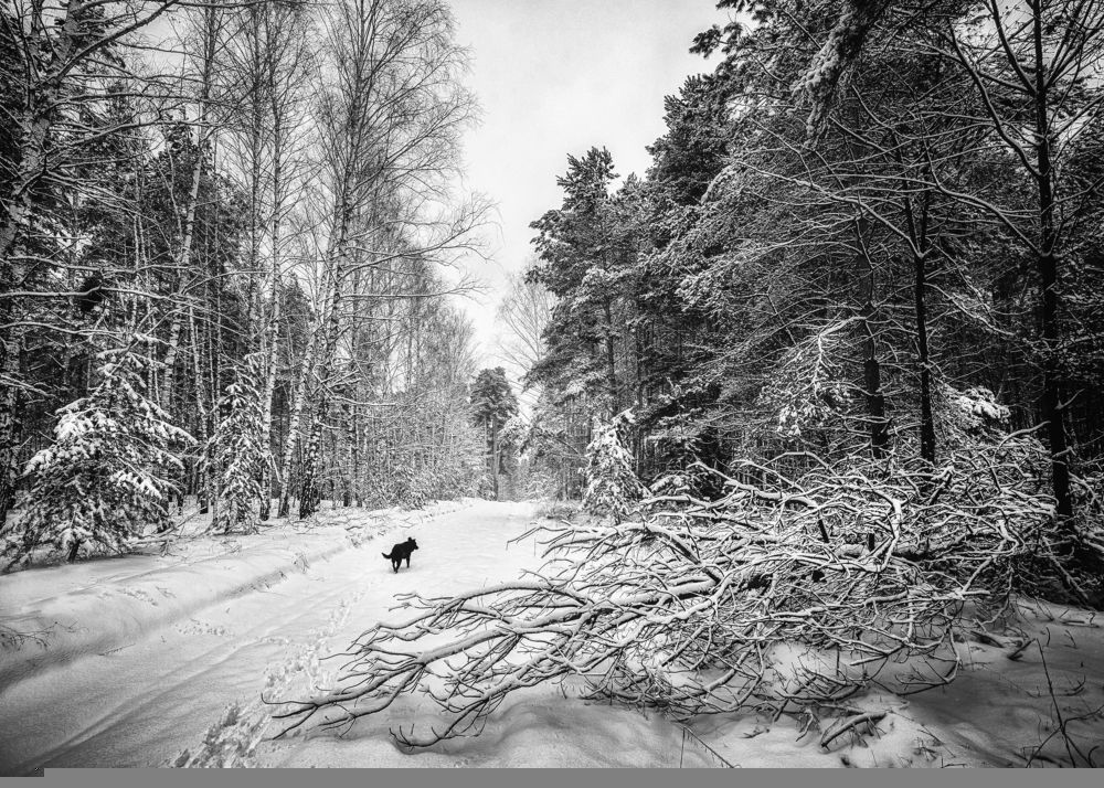 Фотография автора Ильченко Оксана