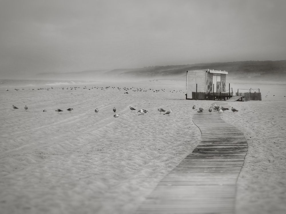 Photograph by Félix Sánchez Serrano