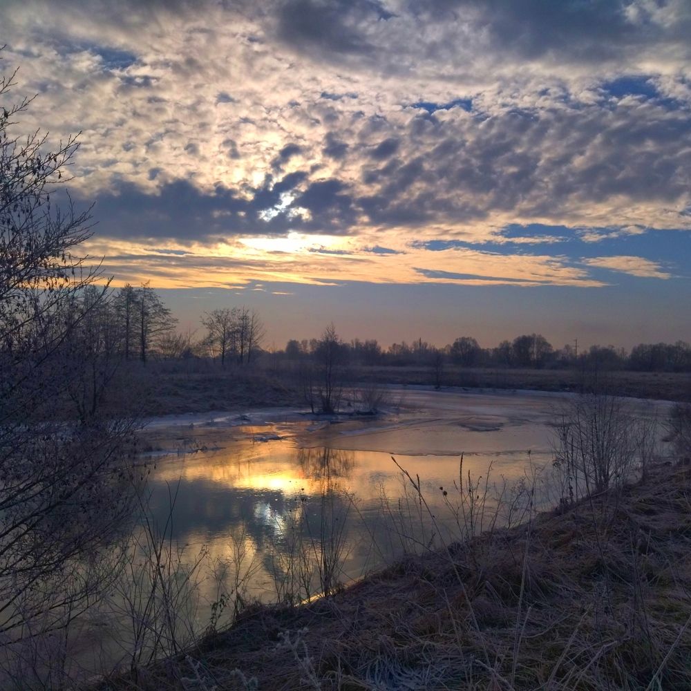 Photograph by Лариса Басова