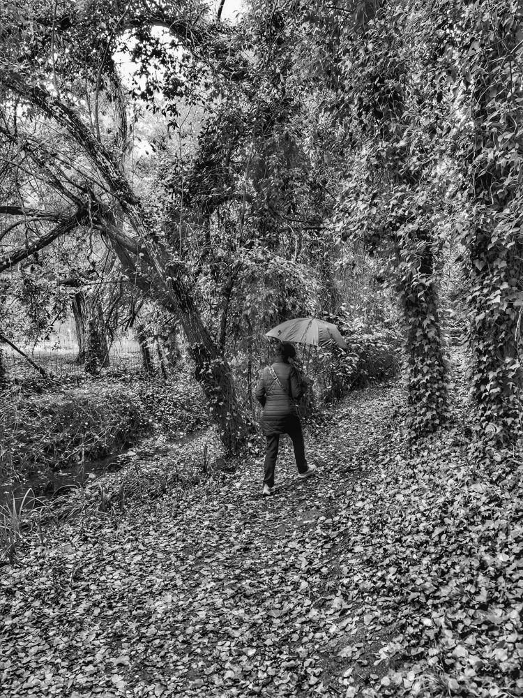 Photograph by Félix Sánchez Serrano