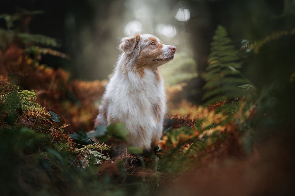 Photograph by Alfonso Maseda Varela