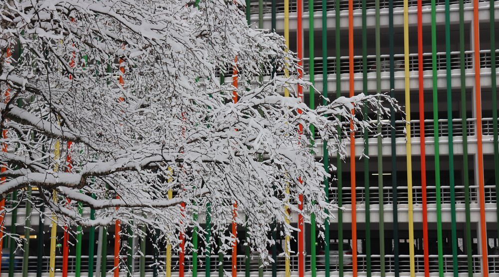 Photograph by владимир Заворотный