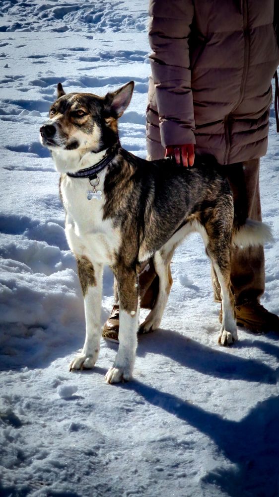 Фотография автора Всеволод Юрша
