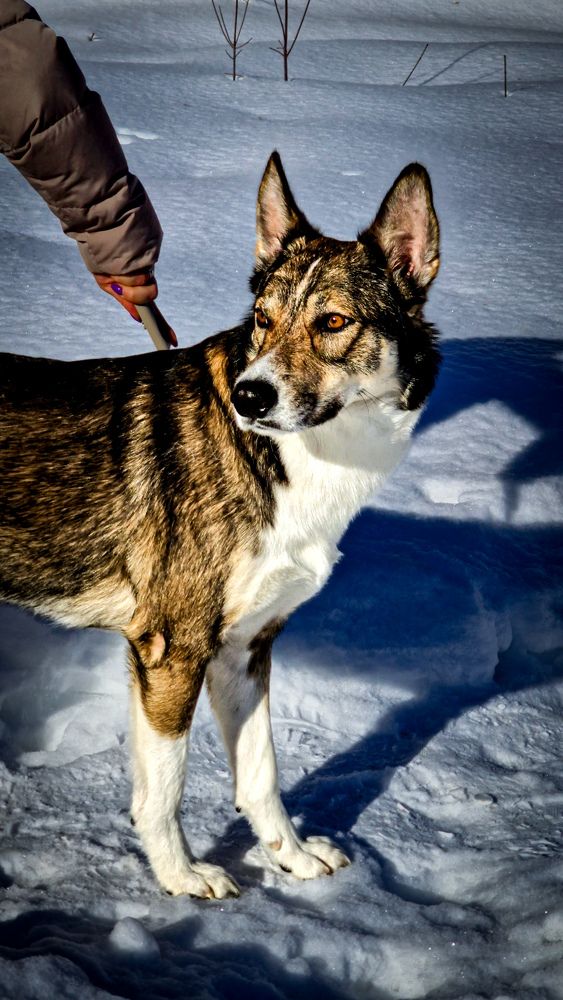 Фотография автора Всеволод Юрша