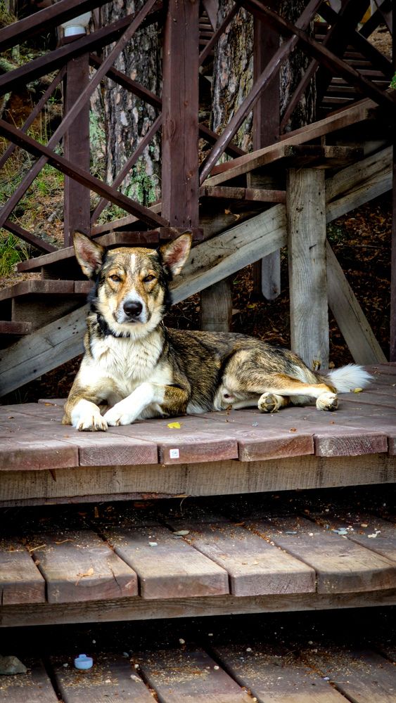 Фотография автора Всеволод Юрша